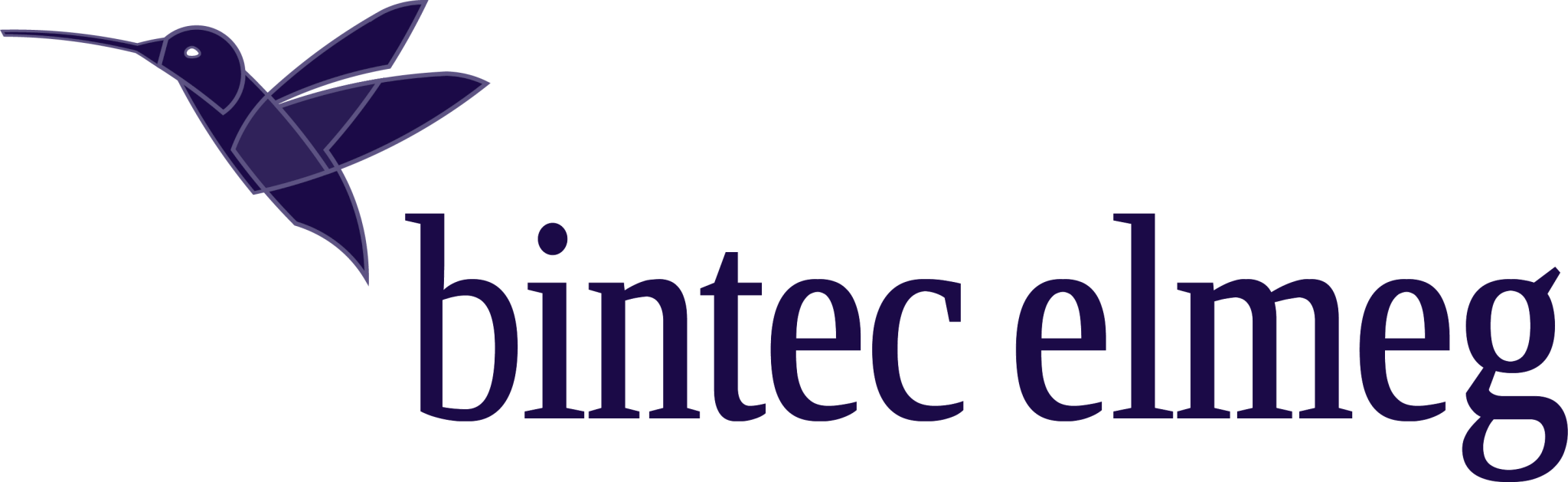 Bintec-Elmeg Logo